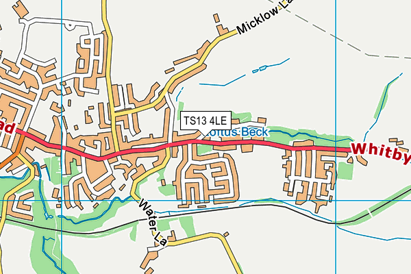 TS13 4LE map - OS VectorMap District (Ordnance Survey)