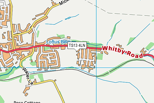 TS13 4LN map - OS VectorMap District (Ordnance Survey)