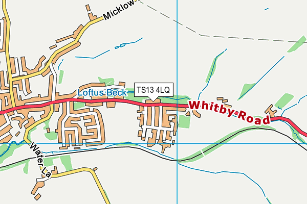 TS13 4LQ map - OS VectorMap District (Ordnance Survey)