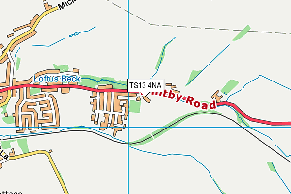 TS13 4NA map - OS VectorMap District (Ordnance Survey)