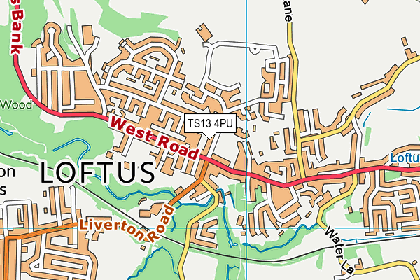 TS13 4PU map - OS VectorMap District (Ordnance Survey)