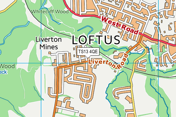 TS13 4QE map - OS VectorMap District (Ordnance Survey)