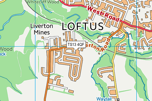 TS13 4QF map - OS VectorMap District (Ordnance Survey)