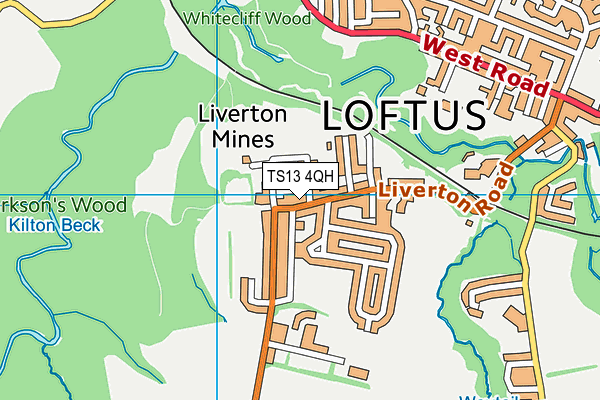 TS13 4QH map - OS VectorMap District (Ordnance Survey)