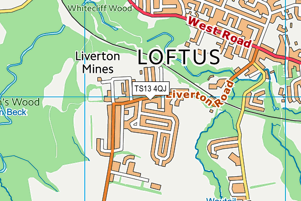 TS13 4QJ map - OS VectorMap District (Ordnance Survey)