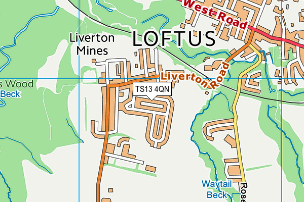 TS13 4QN map - OS VectorMap District (Ordnance Survey)