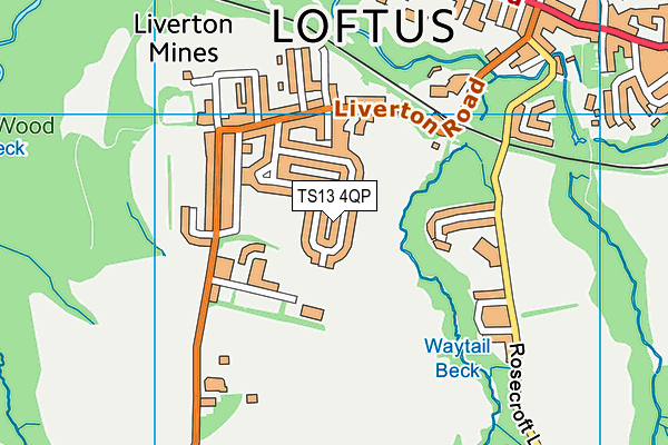 TS13 4QP map - OS VectorMap District (Ordnance Survey)