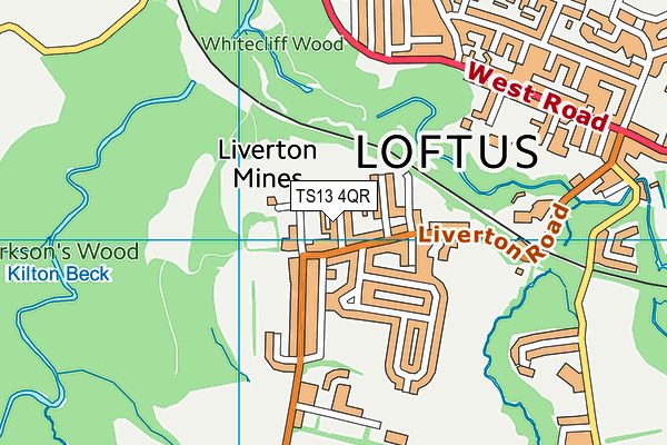 TS13 4QR map - OS VectorMap District (Ordnance Survey)