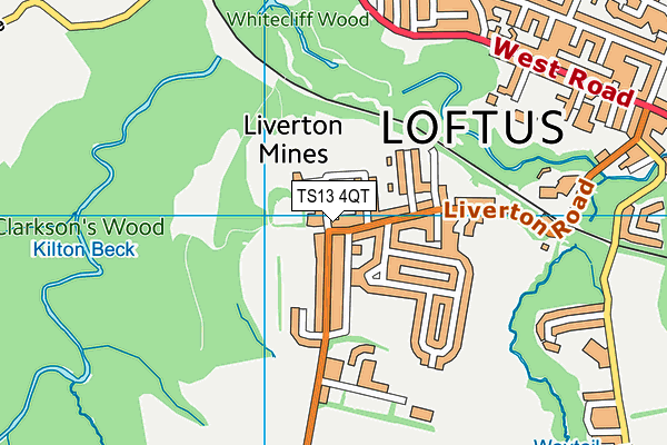 TS13 4QT map - OS VectorMap District (Ordnance Survey)