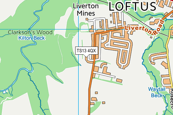 TS13 4QX map - OS VectorMap District (Ordnance Survey)