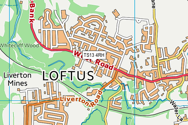 TS13 4RH map - OS VectorMap District (Ordnance Survey)