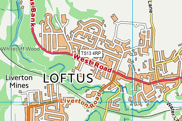 TS13 4RP map - OS VectorMap District (Ordnance Survey)
