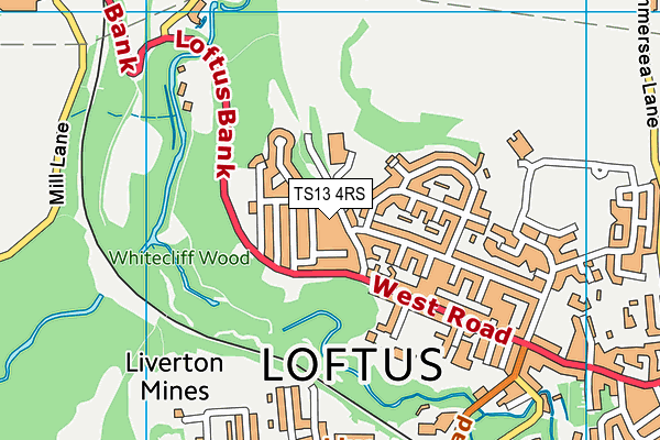 Loftus Leisure Centre map (TS13 4RS) - OS VectorMap District (Ordnance Survey)