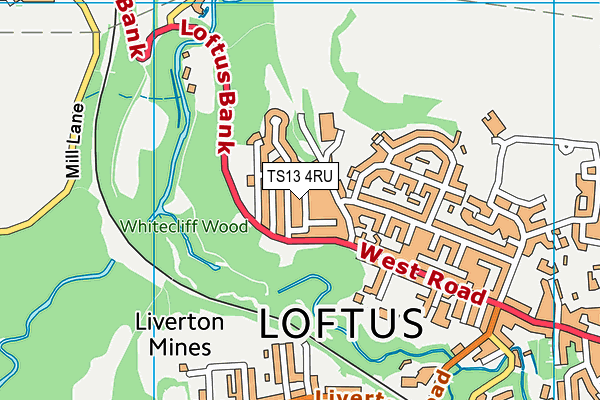 TS13 4RU map - OS VectorMap District (Ordnance Survey)