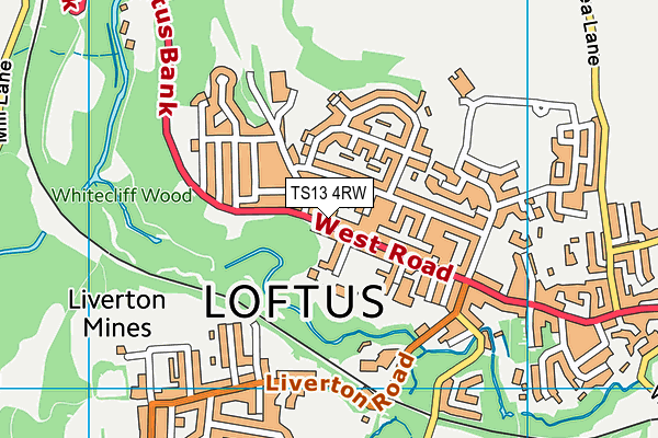 TS13 4RW map - OS VectorMap District (Ordnance Survey)