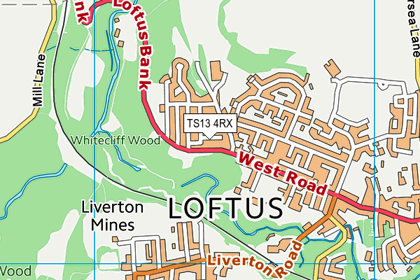 TS13 4RX map - OS VectorMap District (Ordnance Survey)