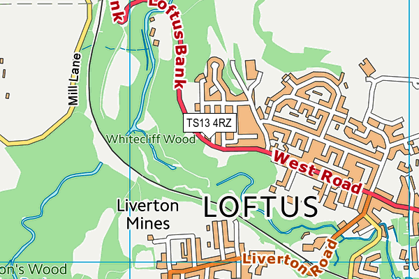 TS13 4RZ map - OS VectorMap District (Ordnance Survey)