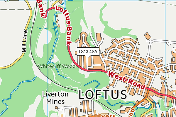 TS13 4SA map - OS VectorMap District (Ordnance Survey)