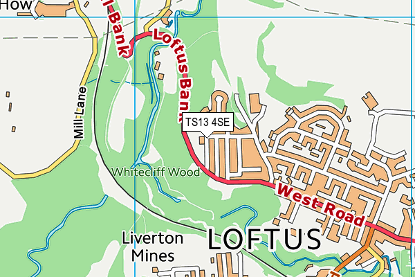 TS13 4SE map - OS VectorMap District (Ordnance Survey)