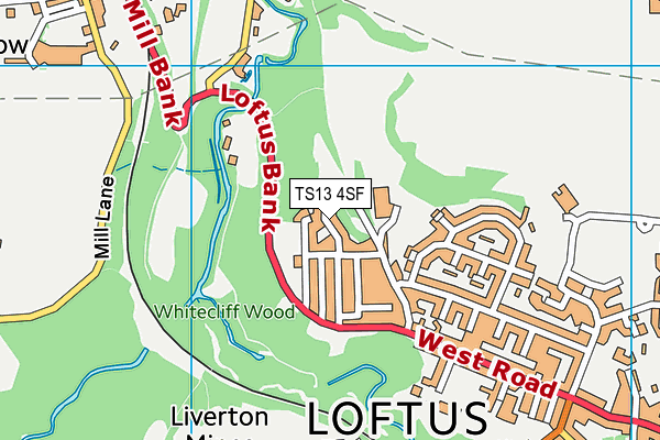 TS13 4SF map - OS VectorMap District (Ordnance Survey)