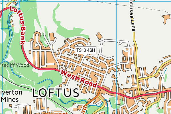 TS13 4SH map - OS VectorMap District (Ordnance Survey)