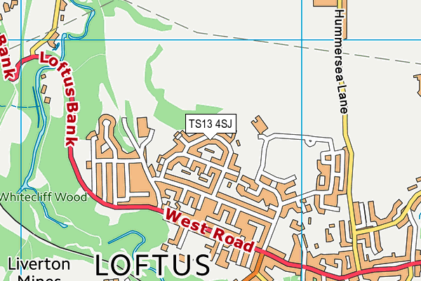 TS13 4SJ map - OS VectorMap District (Ordnance Survey)
