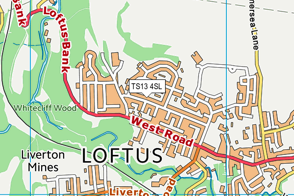 TS13 4SL map - OS VectorMap District (Ordnance Survey)