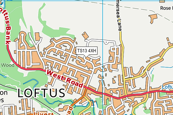 TS13 4XH map - OS VectorMap District (Ordnance Survey)