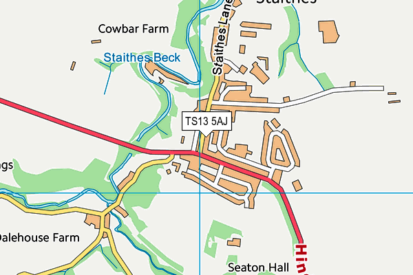TS13 5AJ map - OS VectorMap District (Ordnance Survey)