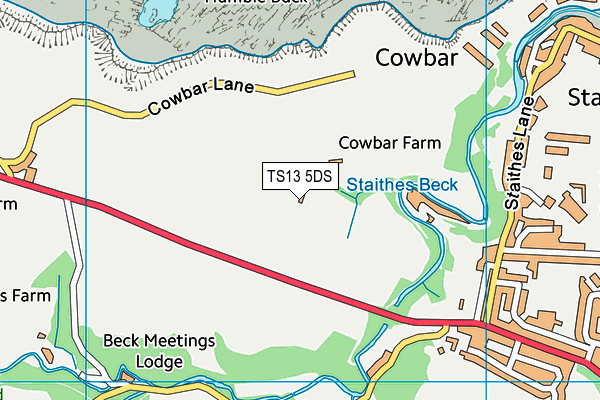 TS13 5DS map - OS VectorMap District (Ordnance Survey)