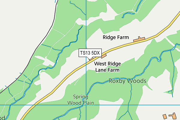 TS13 5DX map - OS VectorMap District (Ordnance Survey)