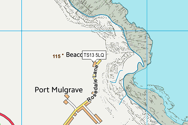 TS13 5LQ map - OS VectorMap District (Ordnance Survey)