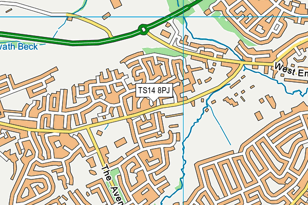 TS14 8PJ map - OS VectorMap District (Ordnance Survey)