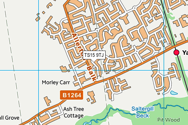 TS15 9TJ map - OS VectorMap District (Ordnance Survey)