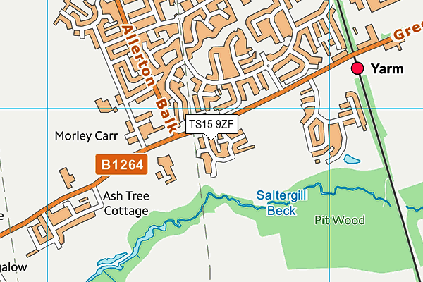 TS15 9ZF map - OS VectorMap District (Ordnance Survey)