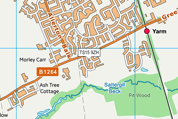 TS15 9ZH map - OS VectorMap District (Ordnance Survey)
