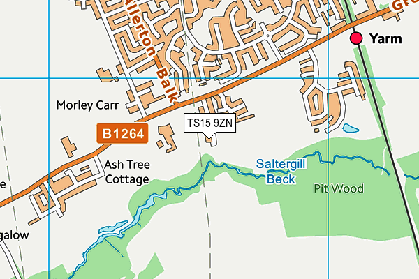 TS15 9ZN map - OS VectorMap District (Ordnance Survey)