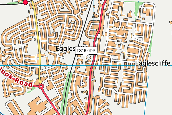 TS16 0DP map - OS VectorMap District (Ordnance Survey)