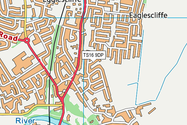 TS16 9DP map - OS VectorMap District (Ordnance Survey)