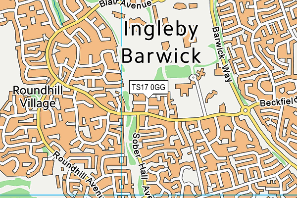 TS17 0GG map - OS VectorMap District (Ordnance Survey)