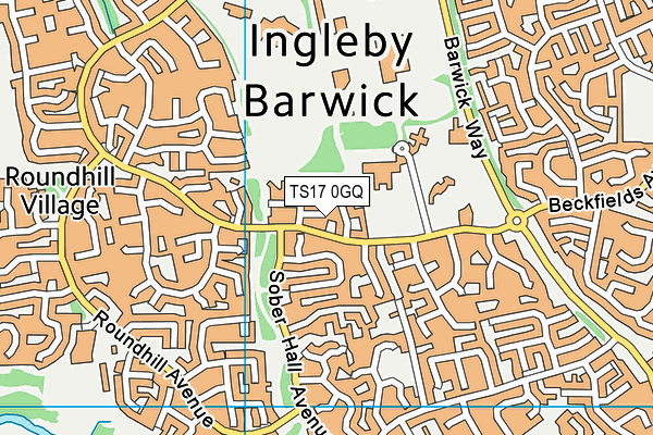 TS17 0GQ map - OS VectorMap District (Ordnance Survey)