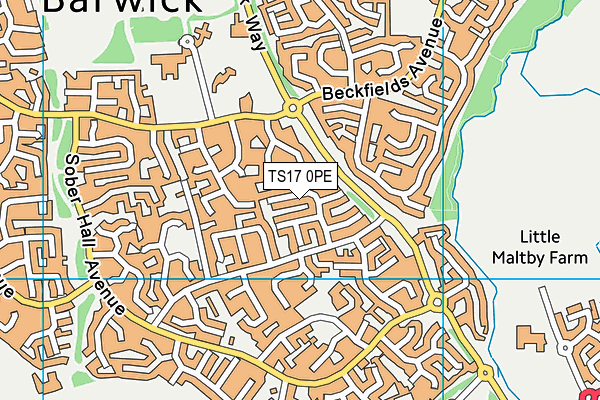 TS17 0PE map - OS VectorMap District (Ordnance Survey)