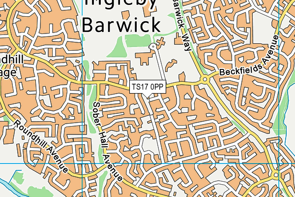 TS17 0PP map - OS VectorMap District (Ordnance Survey)