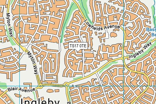 TS17 0TE map - OS VectorMap District (Ordnance Survey)