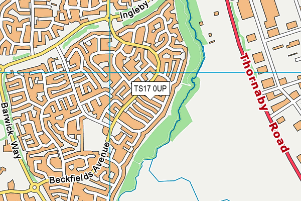 TS17 0UP map - OS VectorMap District (Ordnance Survey)