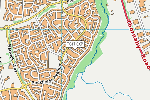 TS17 0XP map - OS VectorMap District (Ordnance Survey)