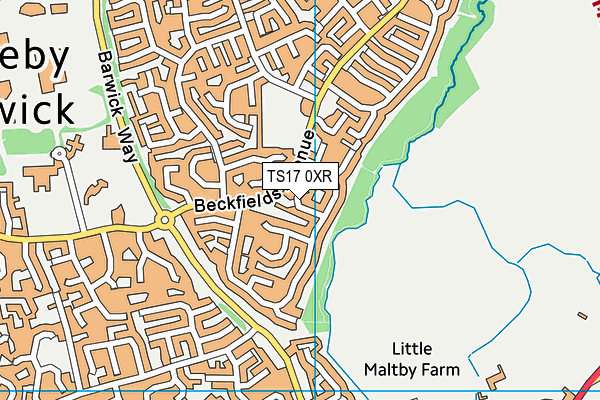 TS17 0XR map - OS VectorMap District (Ordnance Survey)