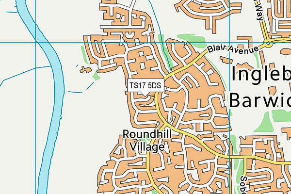 TS17 5DS map - OS VectorMap District (Ordnance Survey)