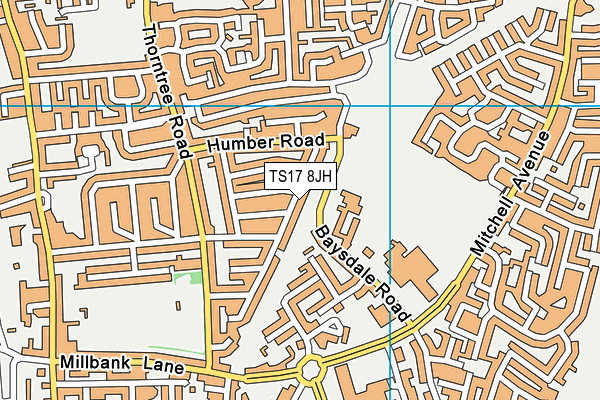 TS17 8JH map - OS VectorMap District (Ordnance Survey)