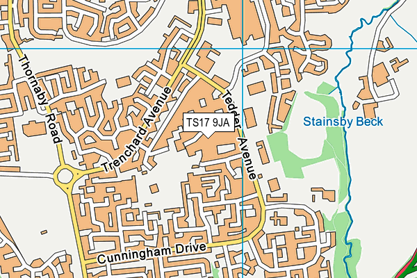 TS17 9JA map - OS VectorMap District (Ordnance Survey)